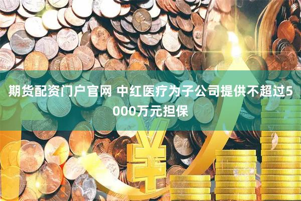 期货配资门户官网 中红医疗为子公司提供不超过5000万元担保
