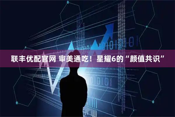 联丰优配官网 审美通吃!星耀6的“颜值共识”
