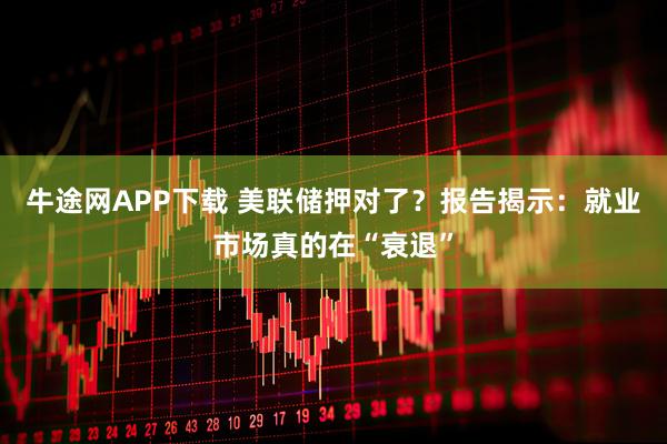 牛途网APP下载 美联储押对了？报告揭示：就业市场真的在“衰退”