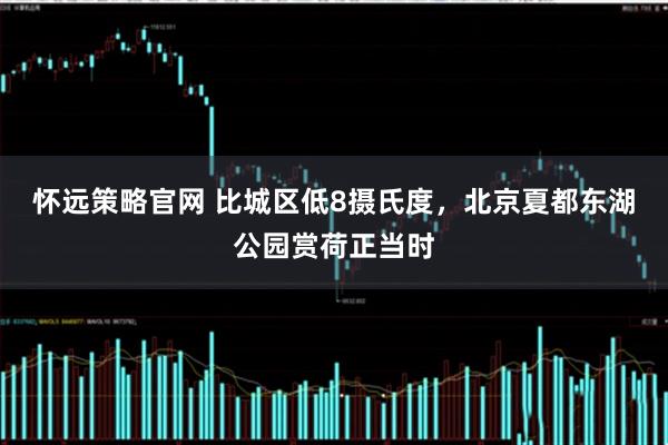 怀远策略官网 比城区低8摄氏度，北京夏都东湖公园赏荷正当时